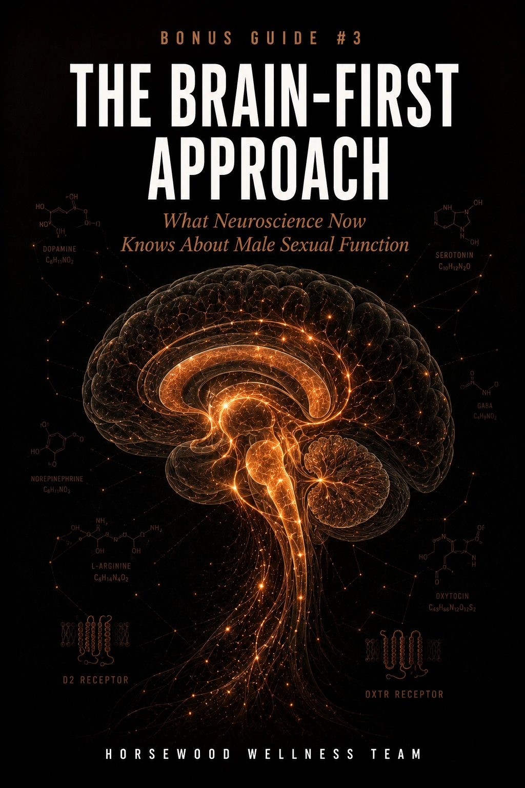 Cover of The Brain-First Approach, the third free Horsewood bonus guide